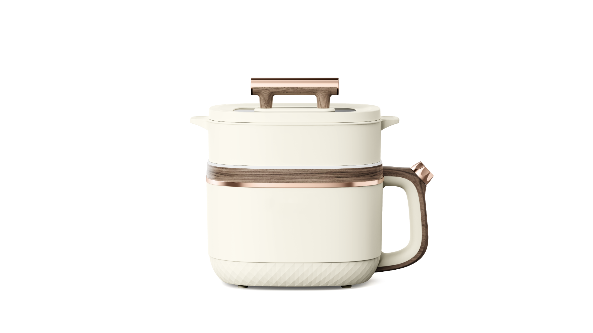 WD-1003B compact electric cooking pot | WANDI