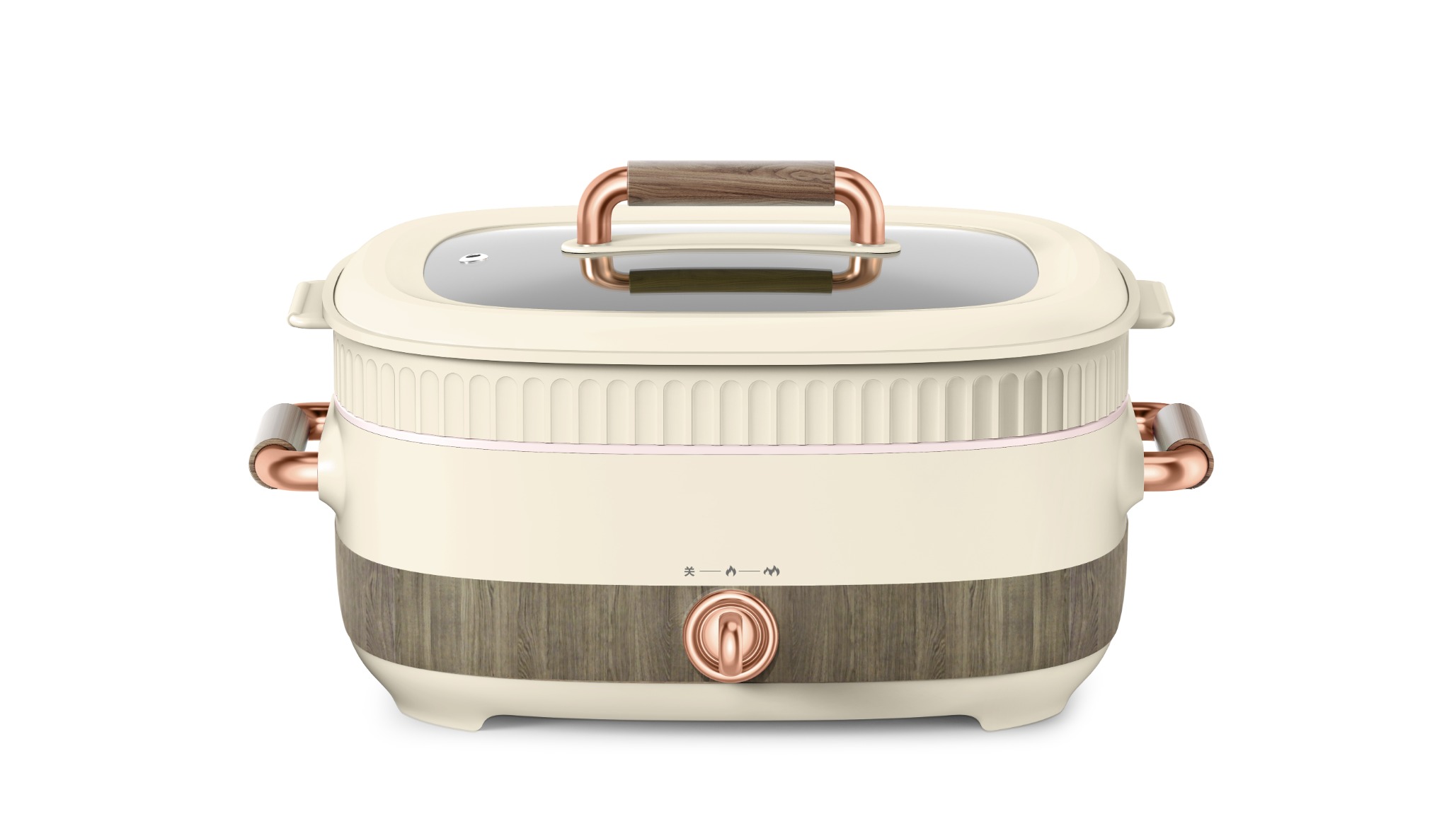 WD-1035B rectangular electric cooking pot | WANDI